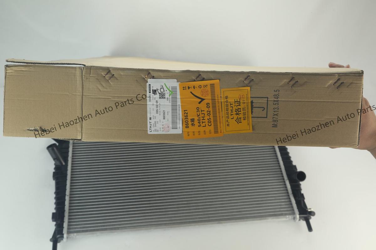 8603624 Radiator