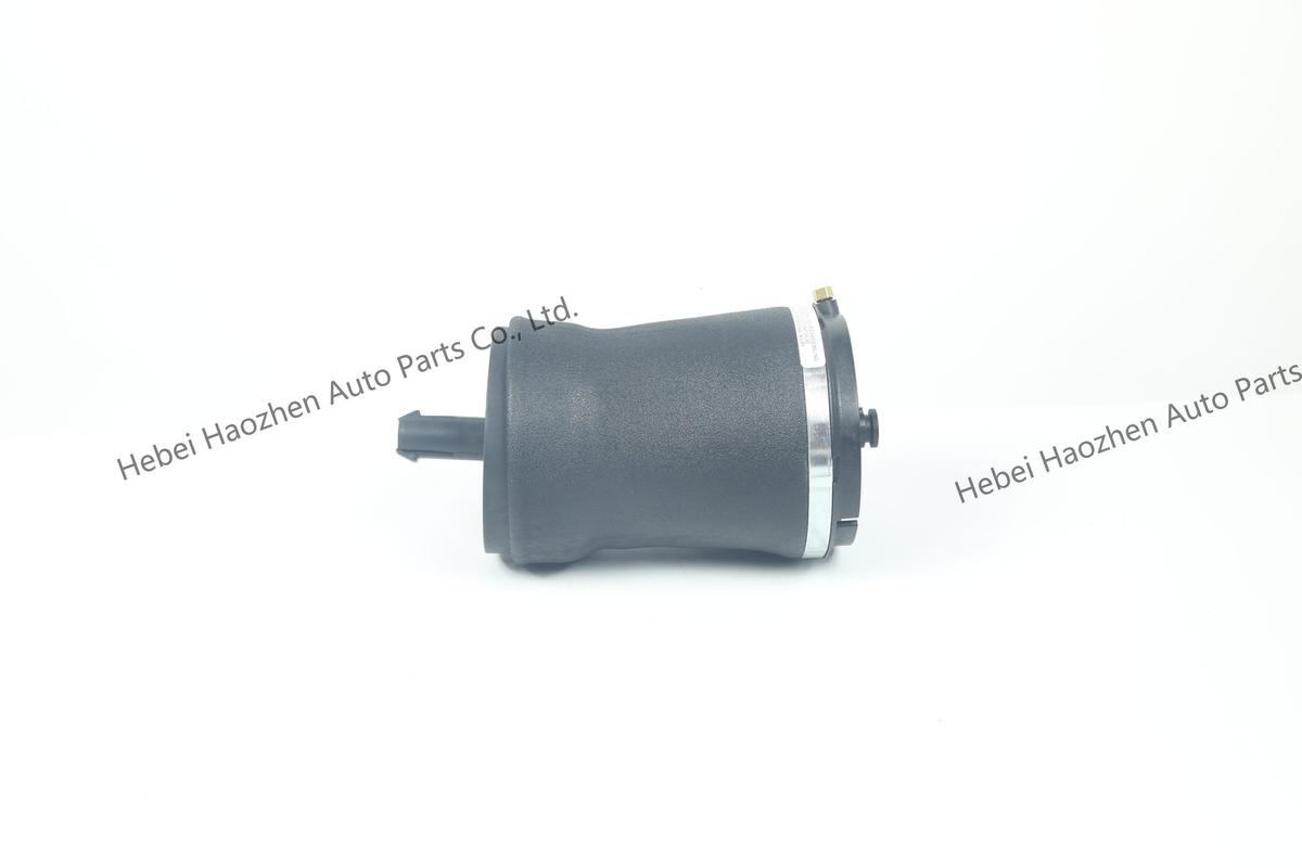 LR044853 Rear Shock Absorber气包 - Image 3